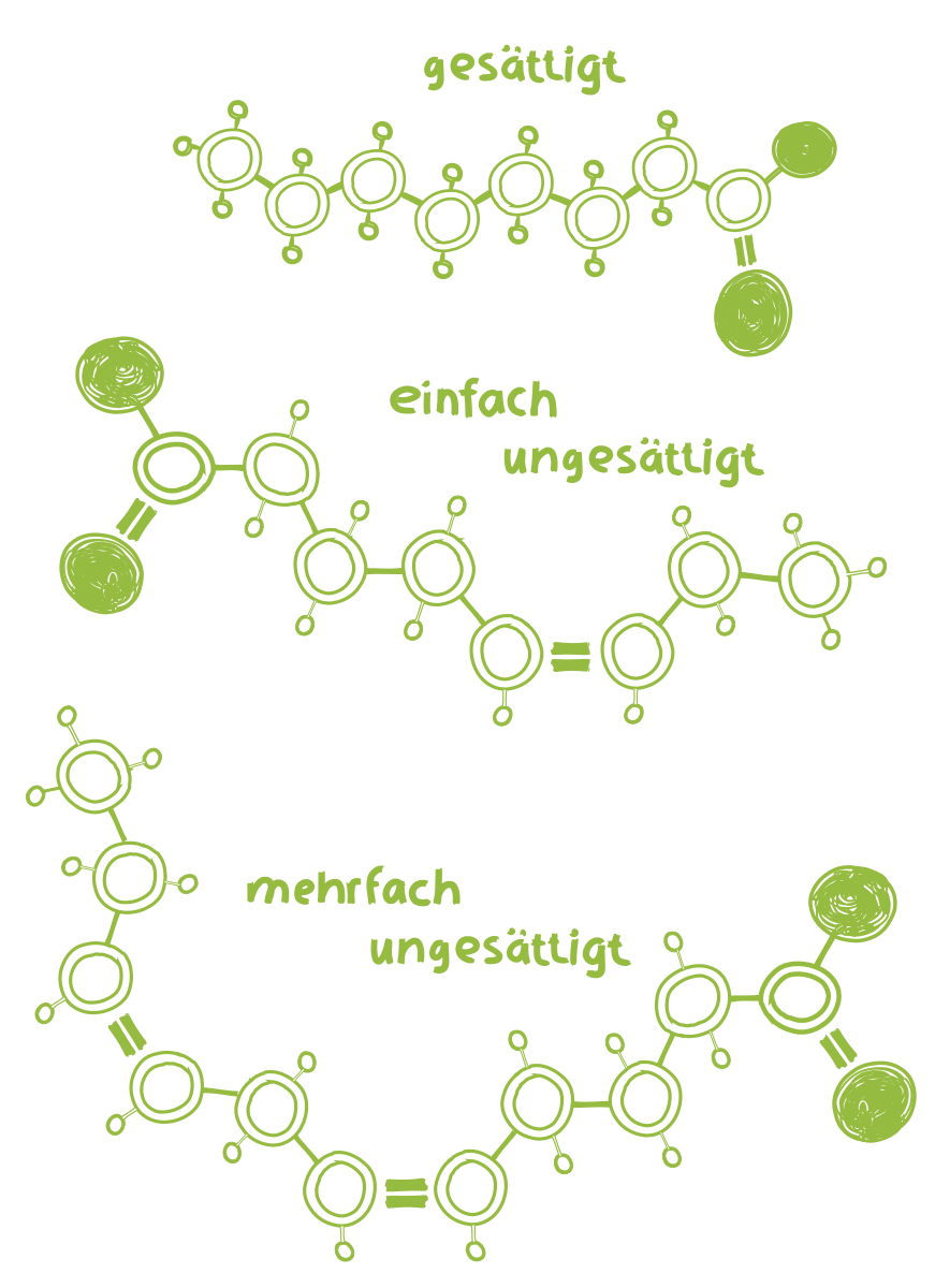 ungesättigte_fettsäure